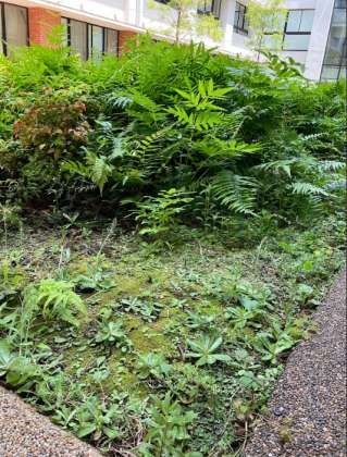 植物たちの不思議な暮らしをのぞいてみよう